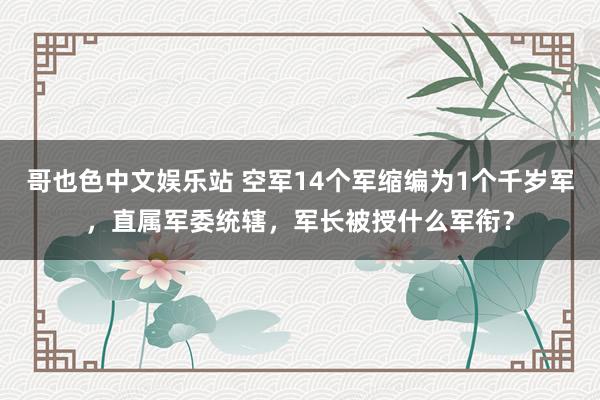 哥也色中文娱乐站 空军14个军缩编为1个千岁军，直属军委统辖，军长被授什么军衔？