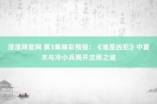 淫淫网官网 第3集精彩预报：《谁是凶犯》中夏木与冷小兵揭开沈雨之谜