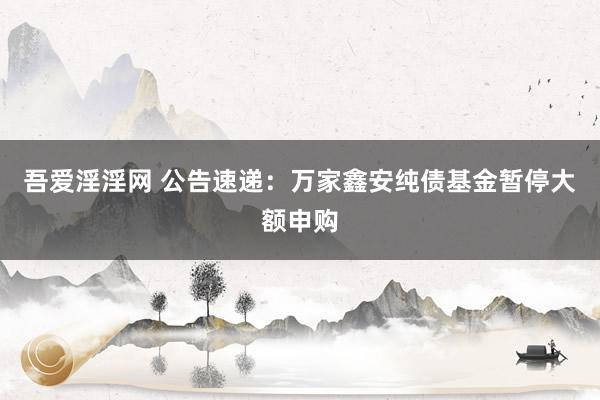 吾爱淫淫网 公告速递：万家鑫安纯债基金暂停大额申购