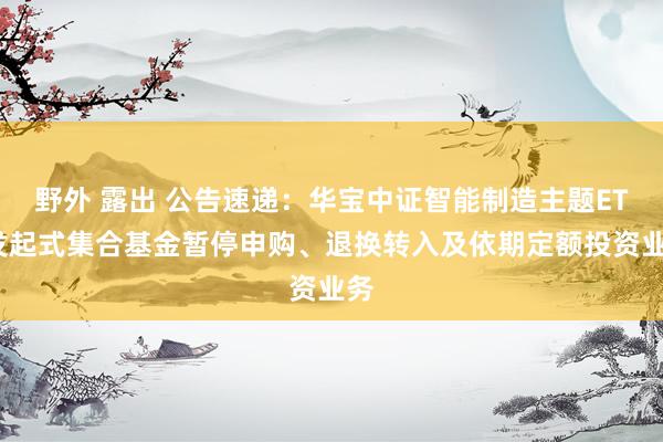 野外 露出 公告速递：华宝中证智能制造主题ETF发起式集合基金暂停申购、退换转入及依期定额投资业务