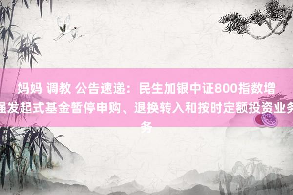 妈妈 调教 公告速递：民生加银中证800指数增强发起式基金暂停申购、退换转入和按时定额投资业务