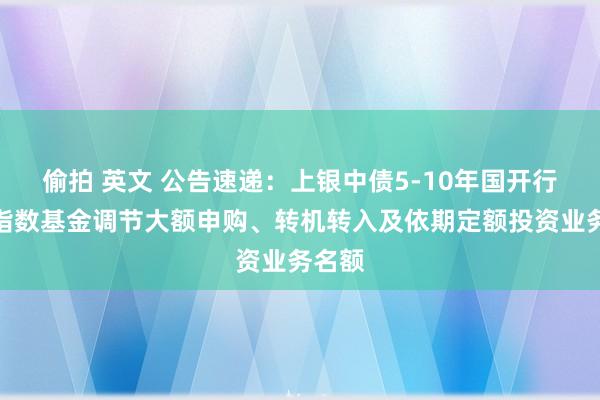 偷拍 英文 公告速递：上银中债5-10年国开行债券指数基金调节大额申购、转机转入及依期定额投资业务名额