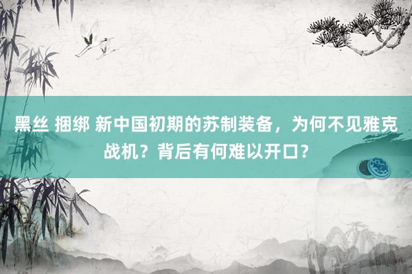 黑丝 捆绑 新中国初期的苏制装备，为何不见雅克战机？背后有何难以开口？