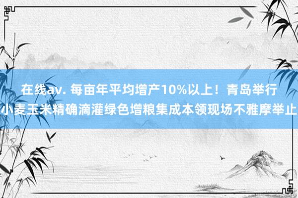 在线av. 每亩年平均增产10%以上！青岛举行小麦玉米精确滴灌绿色增粮集成本领现场不雅摩举止