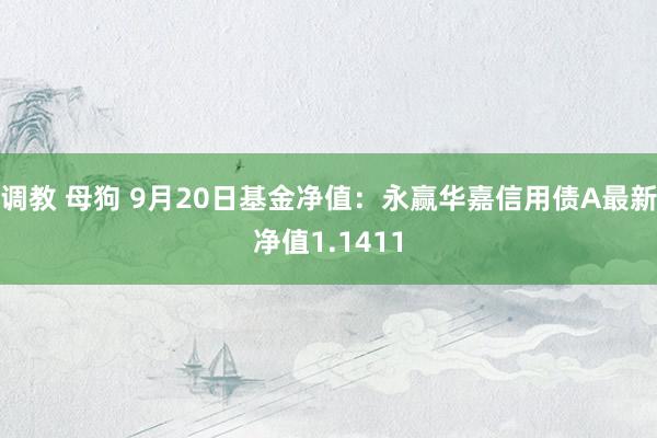 调教 母狗 9月20日基金净值：永赢华嘉信用债A最新净值1.1411