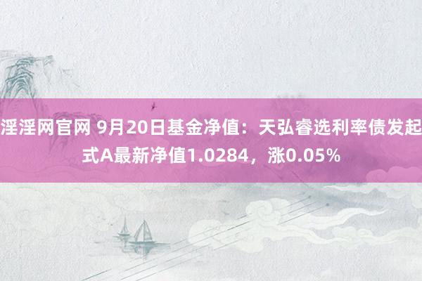 淫淫网官网 9月20日基金净值：天弘睿选利率债发起式A最新净值1.0284，涨0.05%