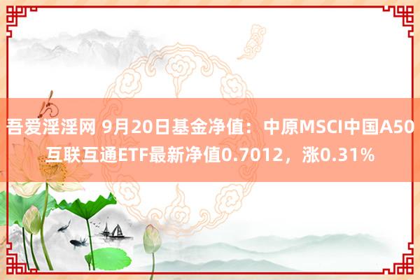 吾爱淫淫网 9月20日基金净值：中原MSCI中国A50互联互通ETF最新净值0.7012，涨0.31%