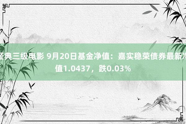 经典三级电影 9月20日基金净值：嘉实稳荣债券最新净值1.0437，跌0.03%