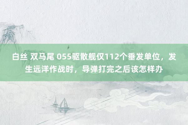 白丝 双马尾 055驱散舰仅112个垂发单位，发生远洋作战时，导弹打完之后该怎样办