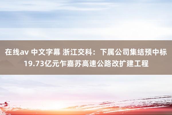 在线av 中文字幕 浙江交科：下属公司集结预中标19.73亿元乍嘉苏高速公路改扩建工程