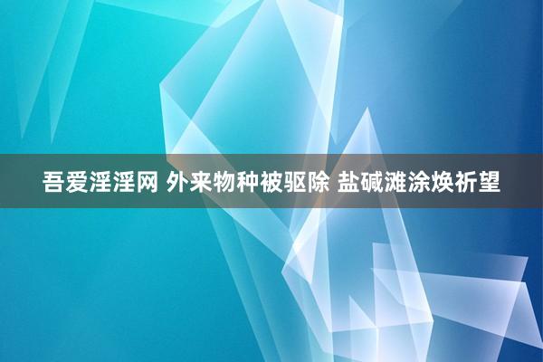 吾爱淫淫网 外来物种被驱除 盐碱滩涂焕祈望