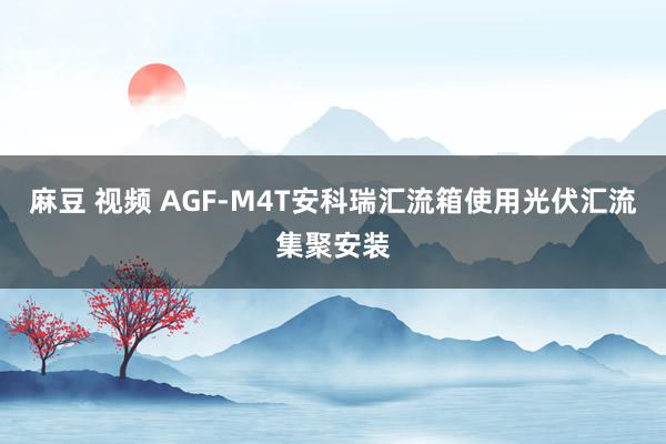 麻豆 视频 AGF-M4T安科瑞汇流箱使用光伏汇流集聚安装