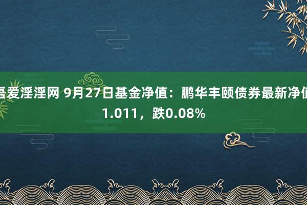 吾爱淫淫网 9月27日基金净值：鹏华丰颐债券最新净值1.011，跌0.08%