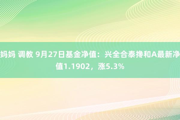 妈妈 调教 9月27日基金净值：兴全合泰搀和A最新净值1.1902，涨5.3%