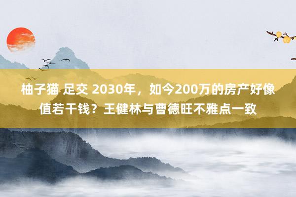 柚子猫 足交 2030年，如今200万的房产好像值若干钱？王健林与曹德旺不雅点一致