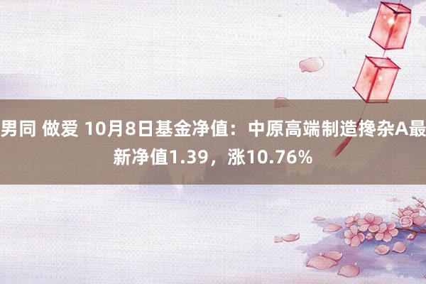 男同 做爱 10月8日基金净值：中原高端制造搀杂A最新净值1.39，涨10.76%