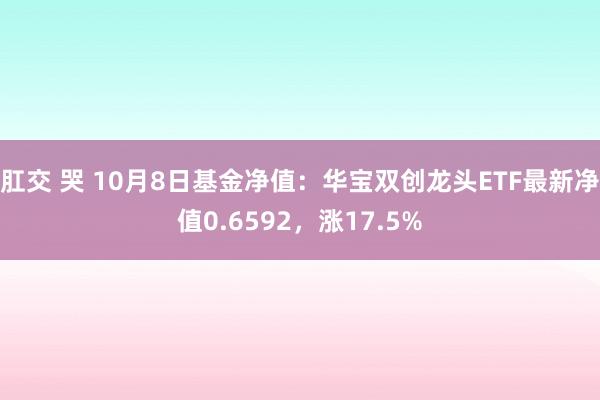 肛交 哭 10月8日基金净值：华宝双创龙头ETF最新净值0.6592，涨17.5%