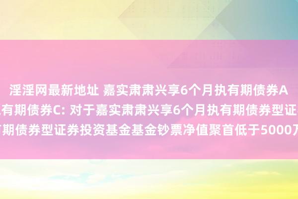 淫淫网最新地址 嘉实肃肃兴享6个月执有期债券A，嘉实肃肃兴享6个月执有期债券C: 对于嘉实肃肃兴享6个月执有期债券型证券投资基金基金钞票净值聚首低于5000万元的教唆性公告