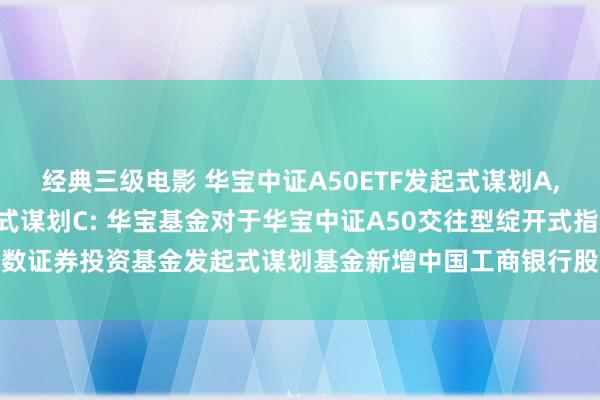 经典三级电影 华宝中证A50ETF发起式谋划A，华宝中证A50ETF发起式谋划C: 华宝基金对于华宝中证A50交往型绽开式指数证券投资基金发起式谋划基金新增中国工商银行股份有限公司为代销机构的公告