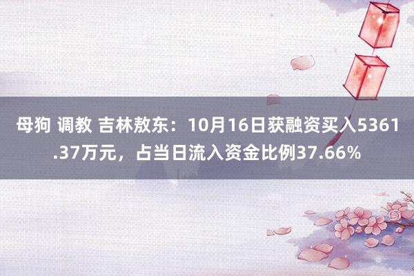 母狗 调教 吉林敖东：10月16日获融资买入5361.37万元，占当日流入资金比例37.66%