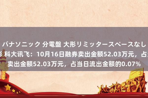 パナソニック 分電盤 大形リミッタースペースなし 露出・半埋込両用形 科大讯飞：10月16日融券卖出金额52.03万元，占当日流出金额的0.07%