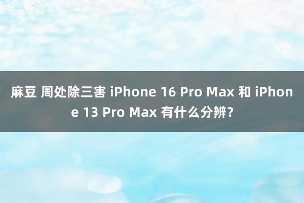 麻豆 周处除三害 iPhone 16 Pro Max 和 iPhone 13 Pro Max 有什么分辨？