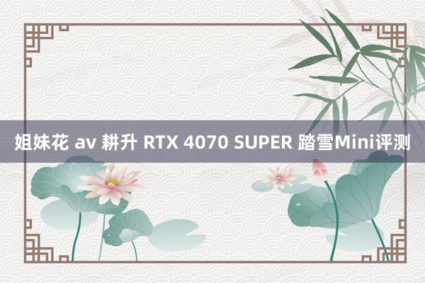 姐妹花 av 耕升 RTX 4070 SUPER 踏雪Mini评测