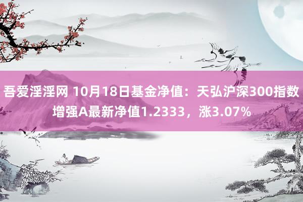 吾爱淫淫网 10月18日基金净值：天弘沪深300指数增强A最新净值1.2333，涨3.07%