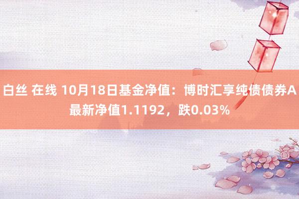 白丝 在线 10月18日基金净值：博时汇享纯债债券A最新净值1.1192，跌0.03%