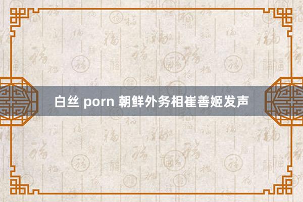 白丝 porn 朝鲜外务相崔善姬发声