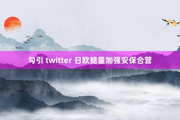 勾引 twitter 日欧掂量加强安保合营