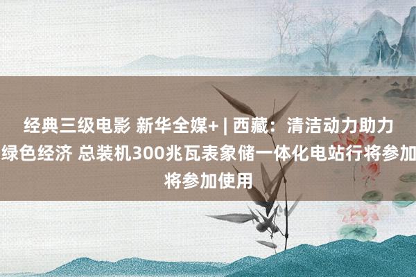 经典三级电影 新华全媒+ | 西藏：清洁动力助力发展绿色经济 总装机300兆瓦表象储一体化电站行将参加使用