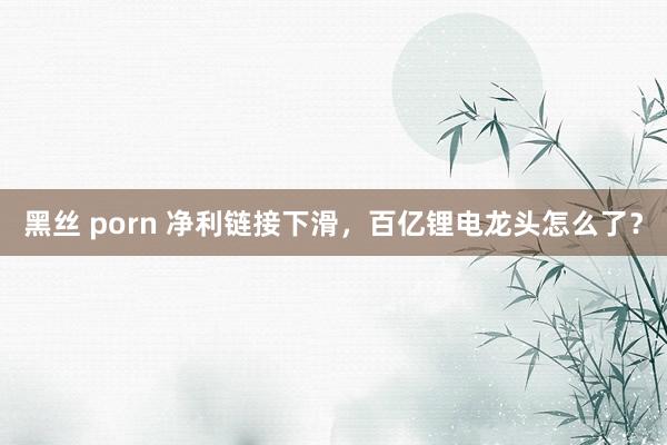 黑丝 porn 净利链接下滑，百亿锂电龙头怎么了？