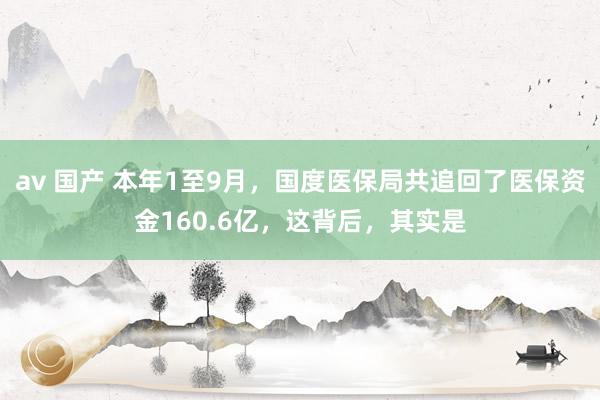 av 国产 本年1至9月，国度医保局共追回了医保资金160.6亿，这背后，其实是