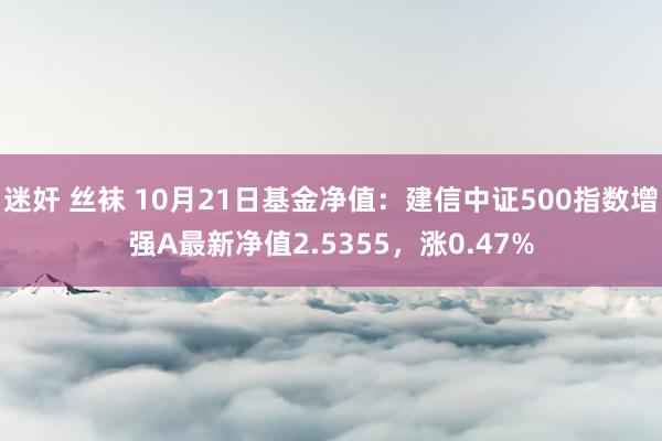 迷奸 丝袜 10月21日基金净值：建信中证500指数增强A最新净值2.5355，涨0.47%