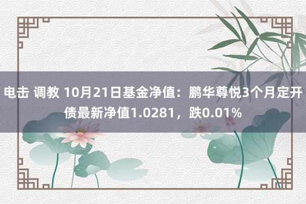 电击 调教 10月21日基金净值：鹏华尊悦3个月定开债最新净值1.0281，跌0.01%