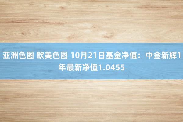 亚洲色图 欧美色图 10月21日基金净值：中金新辉1年最新净值1.0455