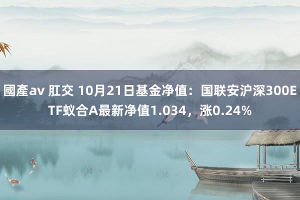 國產av 肛交 10月21日基金净值：国联安沪深300ETF蚁合A最新净值1.034，涨0.24%