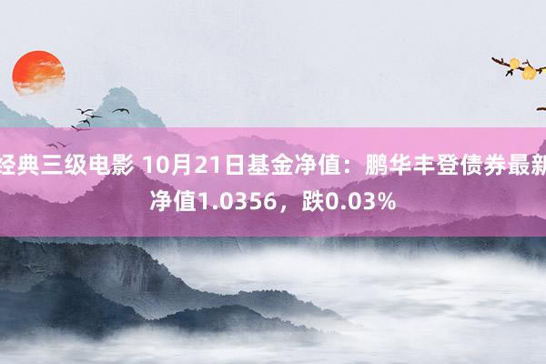 经典三级电影 10月21日基金净值：鹏华丰登债券最新净值1.0356，跌0.03%