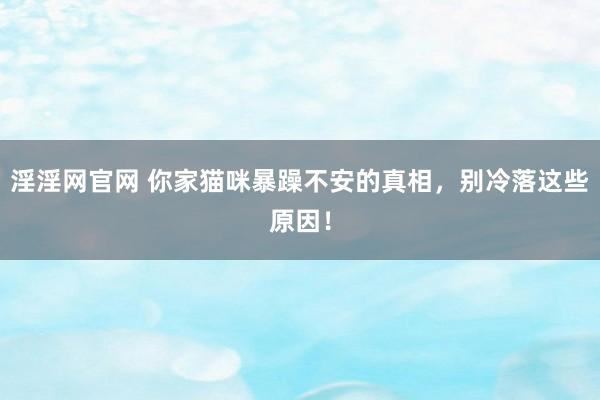 淫淫网官网 你家猫咪暴躁不安的真相，别冷落这些原因！