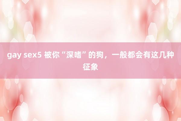 gay sex5 被你“深嗜”的狗，一般都会有这几种征象