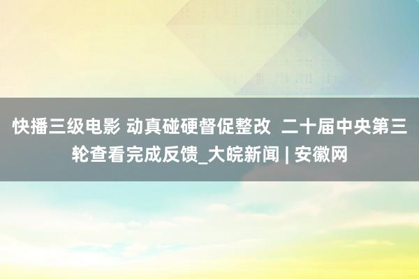 快播三级电影 动真碰硬督促整改  二十届中央第三轮查看完成反馈_大皖新闻 | 安徽网