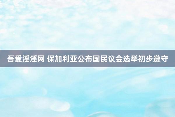 吾爱淫淫网 保加利亚公布国民议会选举初步遵守