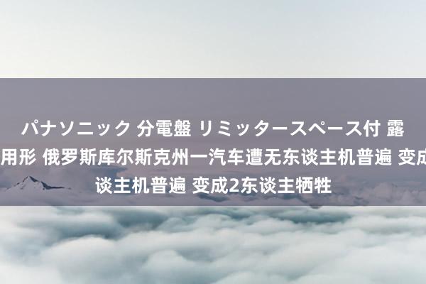 パナソニック 分電盤 リミッタースペース付 露出・半埋込両用形 俄罗斯库尔斯克州一汽车遭无东谈主机普遍 变成2东谈主牺牲