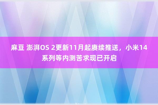 麻豆 澎湃OS 2更新11月起赓续推送，小米14系列等内测苦求现已开启