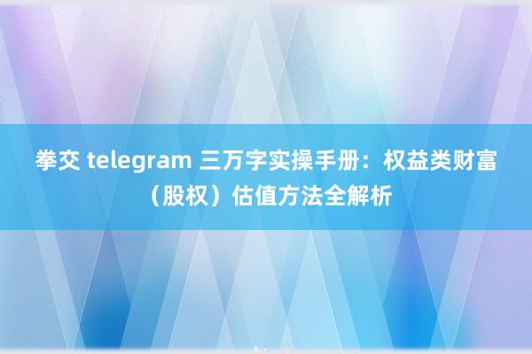 拳交 telegram 三万字实操手册：权益类财富（股权）估值方法全解析