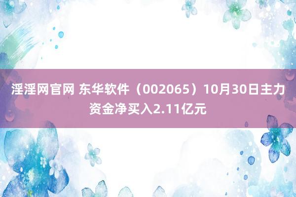 淫淫网官网 东华软件（002065）10月30日主力资金净买入2.11亿元