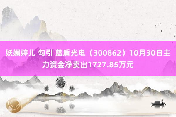 妖媚婷儿 勾引 蓝盾光电（300862）10月30日主力资金净卖出1727.85万元