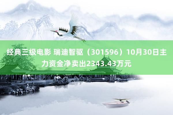 经典三级电影 瑞迪智驱（301596）10月30日主力资金净卖出2343.43万元