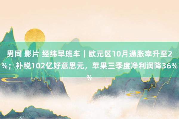 男同 影片 经纬早班车｜欧元区10月通胀率升至2%；补税102亿好意思元，苹果三季度净利润降36%